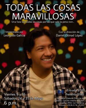 Todas las Cosas Maravillosas
